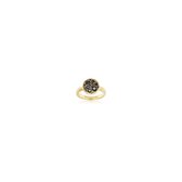 Sif Jakobs juwelen dames De ring 925 sterling zilver zirconia 54 Geelgoud 32005984