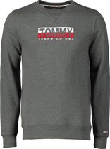 Tommy Jeans Pullover - Slim Fit - Grijs - M