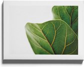 Walljar - Leaf Close Up - Muurdecoratie - Canvas schilderij