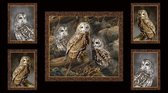 Quilting Treasures Quiltstof Panel Katoen Nocturnal Wonders Uilen 27063-J