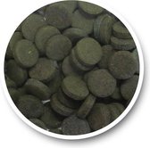 DSZ GEJO - Spirulina Tabletten 36% 1kg