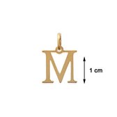 Blinx Jewels Vergulden Hanger Letter M