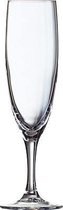 Elegance champagneglas - 17cl - 12 stuks