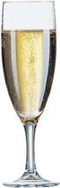 Elegance champagneglas - 13cl - 12 stuks