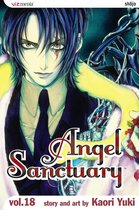 Angel Sanctuary 18 - Angel Sanctuary, Vol. 18
