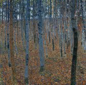 Gustav Klimt, Berkenbos, 1903 op canvas, afmetingen van het schilderij zijn 60 X 100 CM