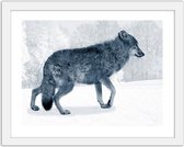 Foto in frame Grijze wolf, 3 maten, Premium print