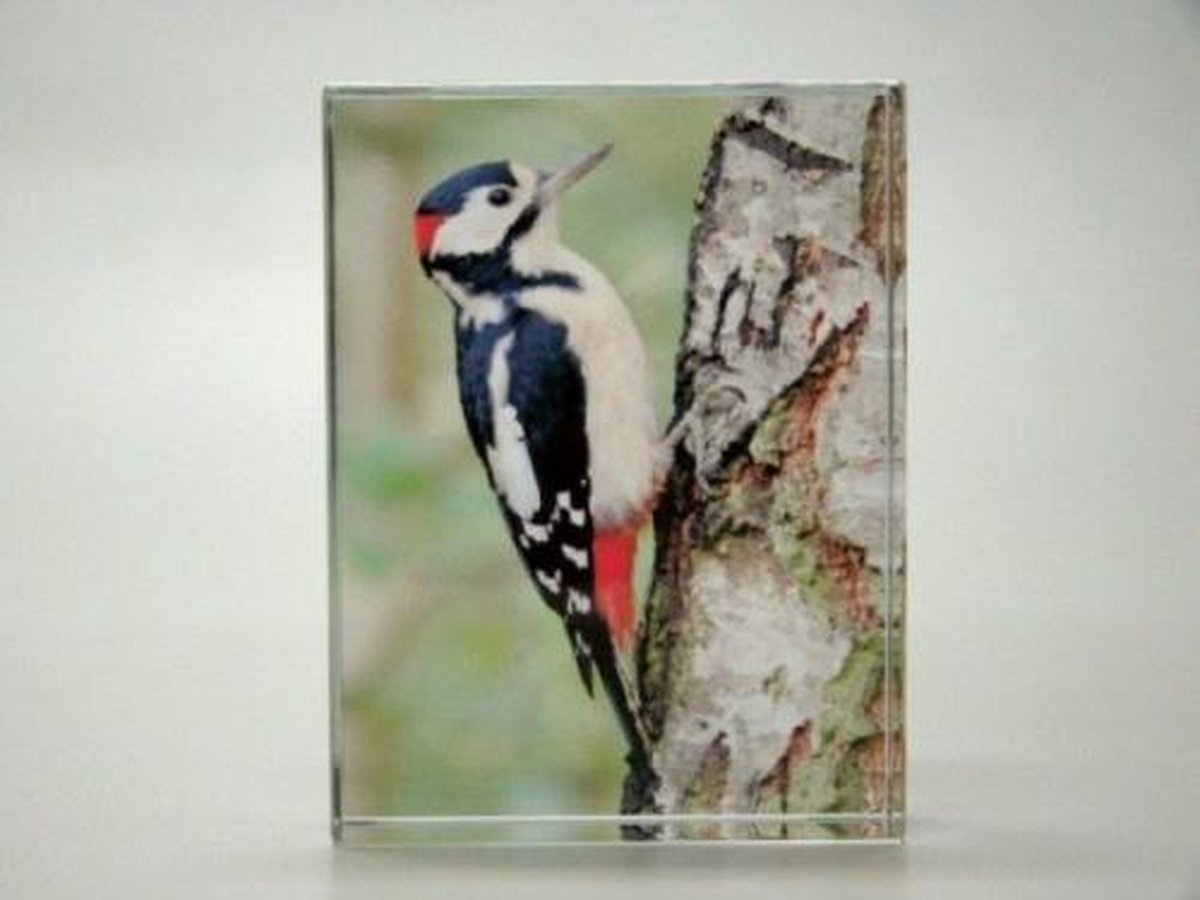 Fotoglasblokje Specht – 3D Lasergravure – 8 x 4 x 2 cm – Kleurrijk Glasdecoratie