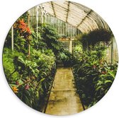 Dibond Wandcirkel - Kas met Groene Planten  - 60x60cm Foto op Aluminium Wandcirkel (met ophangsysteem)