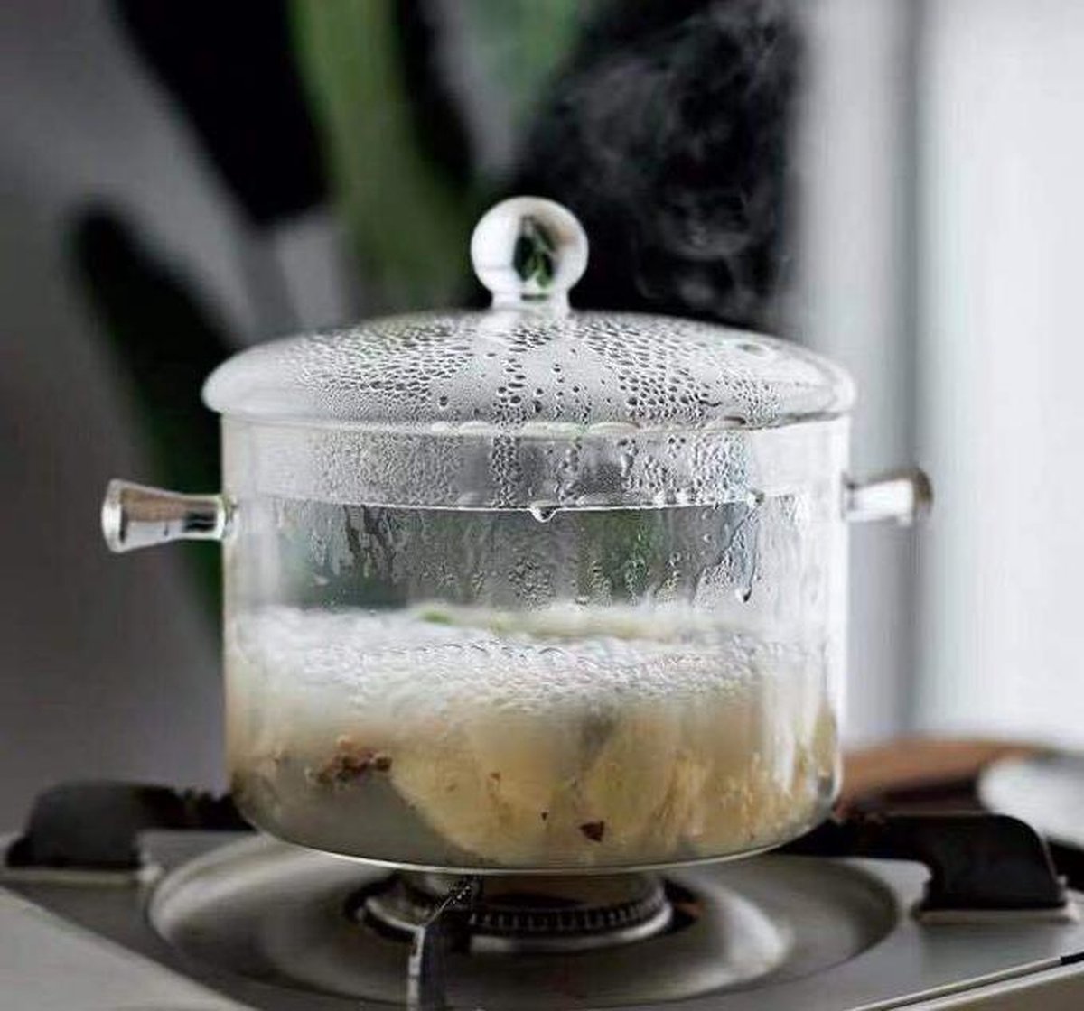 Glazen kookpan Glazen Pan - Pan - Pot - Kookpot - pot - Soeppan - Soeppot ... | bol.com