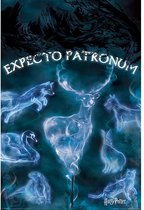Harry Potter Expecto Patronum Poster 61x91.5cm