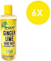 Anovia Handzeep - Ginger Lime - 6 x 350Ml