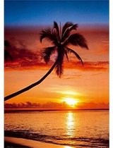 GBeye Sunset and Palm Tree  Poster - 61x91,5cm