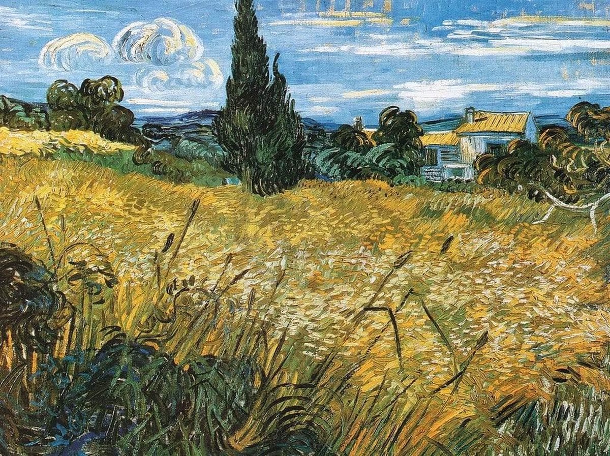 PGM Kunstdruk Vincent Van Gogh - Campo di grano 80x60cm Divers
