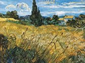Vincent Van Gogh - Campo di grano Kunstdruk 80x60cm