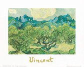 Kunstdruk Vincent Van Gogh - Landscapes with olive trees 30x24cm