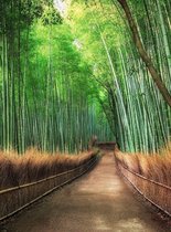 Wizard + Genius Bamboo Grove Kyoto Fleece Papier peint Papier peint photo 192x260cm 4 voies