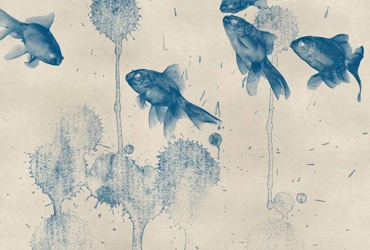 Fotobehang - Blue Fish 384x260cm - Vliesbehang
