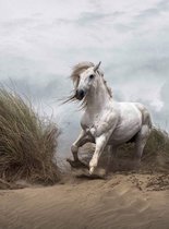 Fotobehang - White Wild Horse 192x260cm - Vliesbehang