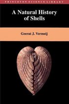 A Natural History of Shells