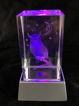 Kristal glas laserblok met 3D afbeelding van Uil + verlichting