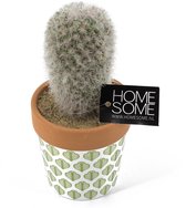 Art de cactus avec pot