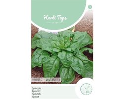foto van Hortitops Zaden - Spinazie Winterreuzen 15 gram