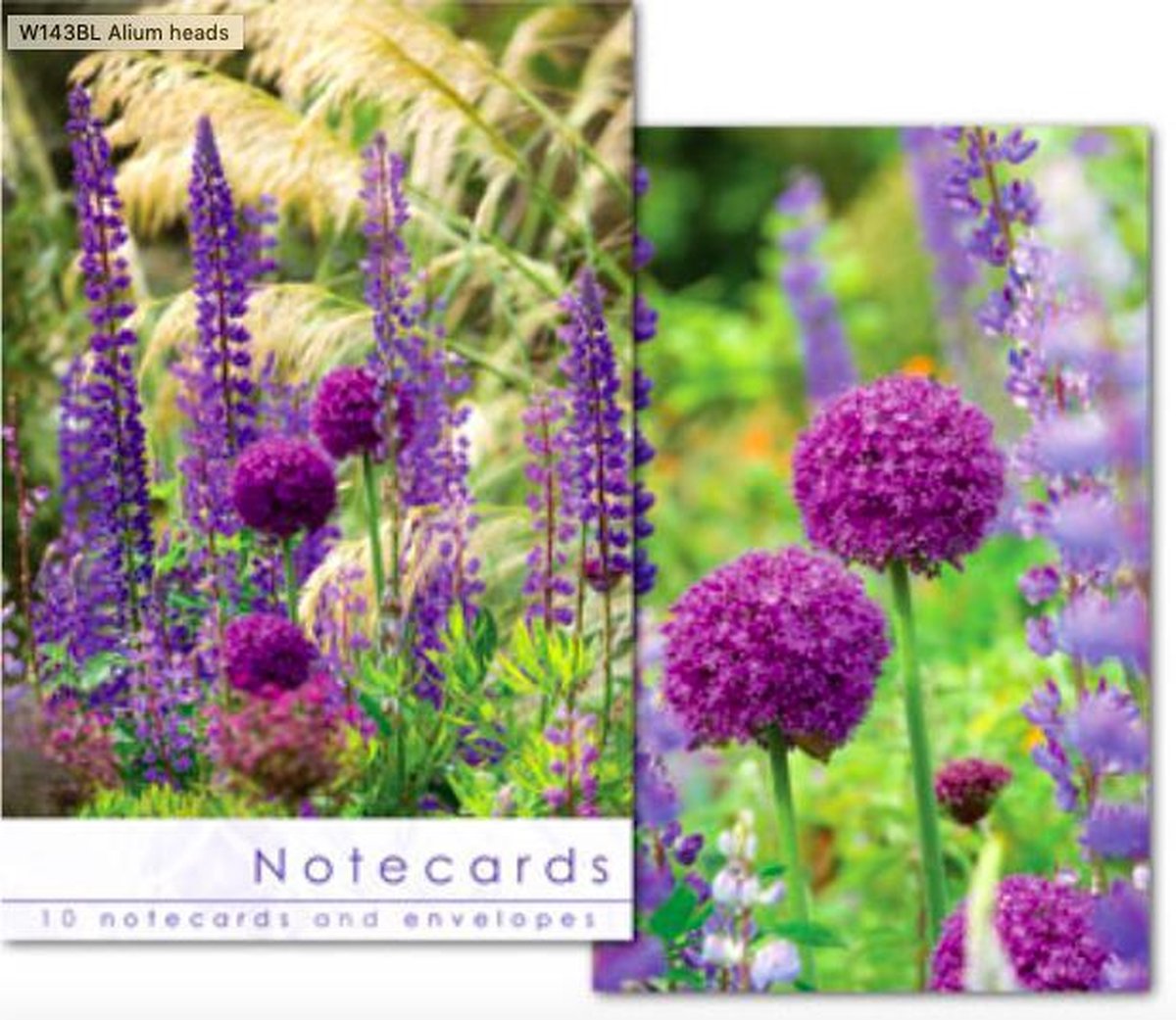 Leonard Smith Notecards ~ Kaartenmapje RHS Garden Rosemoor