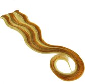 Balmain Double Hair Color Extension 40cm Clip voor echt haar kleur selectie - Autumn Gold