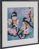 Diamond painting | Vogels | Afmeting: 30 x 30 CM | Inclusief diamond painting pen | Diamond painting volwassenen