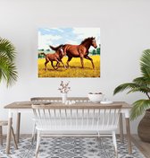 JDBOS ® Schilderen op nummer Volwassenen met frame (hout) - Paard met veulen - Verven volwassenen - 40x50 cm