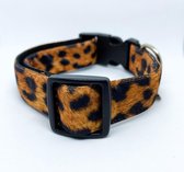 Halsband hond - Bella - L