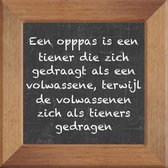 Wijsheden op krijtbord tegel over Overig met spreuk :Een opppas is een tiener die zich gedraagt als een volwassene terwijl de volwassenen zich als tieners gedragen