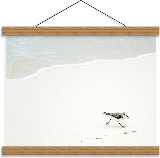 Schoolplaat – Vogel bij de Zee aan het Strand - 40x30cm Foto op Textielposter (Wanddecoratie op Schoolplaat)