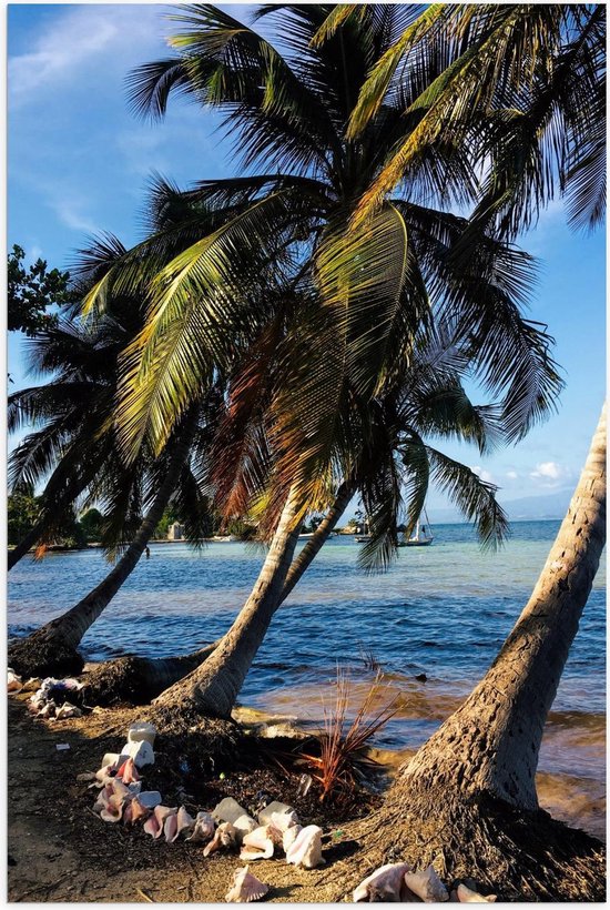 Poster – Palmbomen aan het Water - 60x90cm Foto op Posterpapier