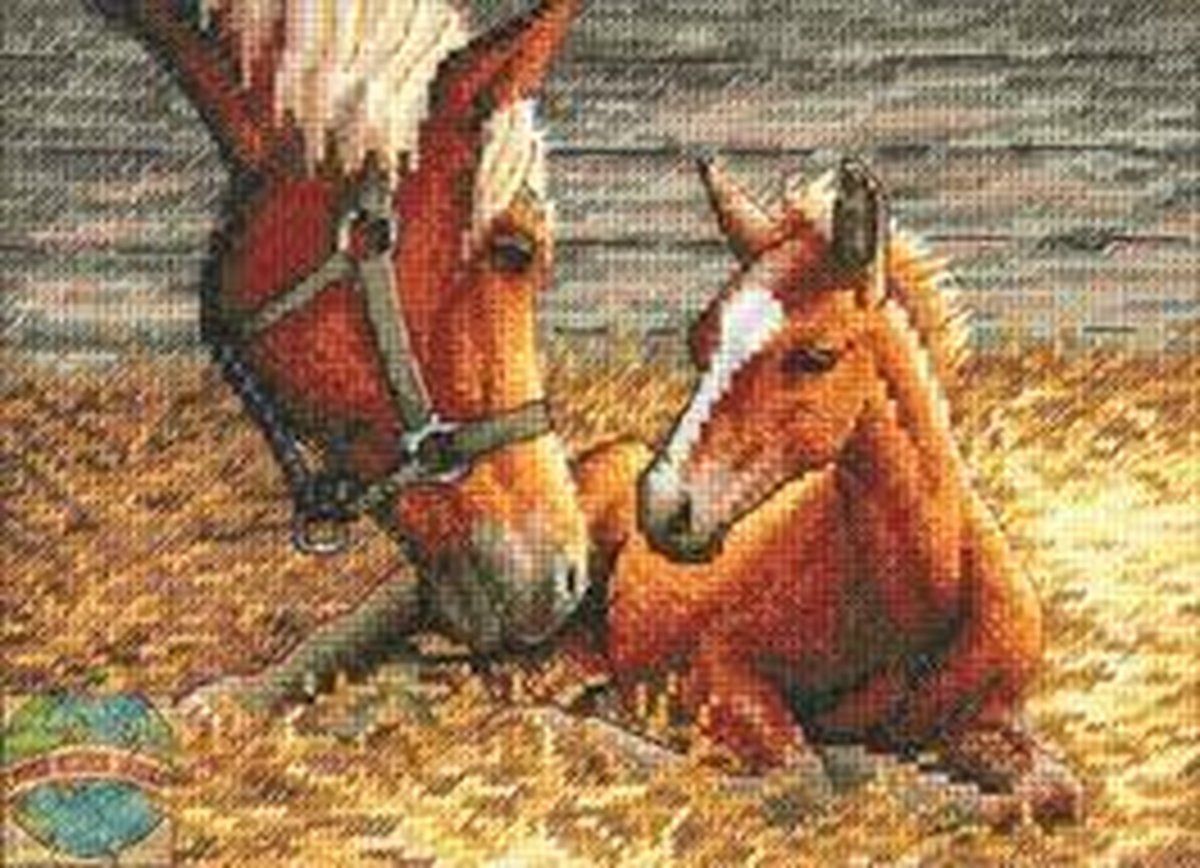 Dimensions borduurpakket veulen met paard 70-65119 borduren