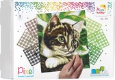 Pixelhobby geschenkdoos 9 basisplaten - Poes