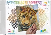 Pixelhobby geschenkdoos 9 basisplaten - Luipaard