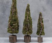 Boomkegel | Kerstboom | Kerst | Mos | Groen naturel | Landelijk | h50cm