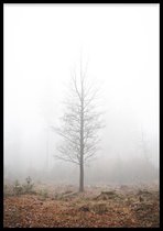 Poster Foggy Tree - 30x40 cm - Poster Natuur - WALLLL