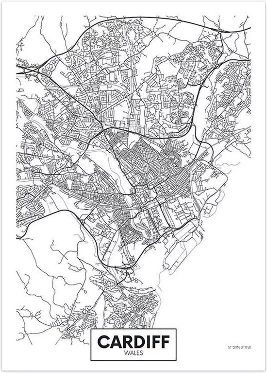 Canvas city map Cardiff | 30X40cm | bol