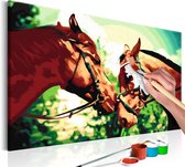 Doe-het-zelf op canvas schilderen - Twee Paarden 60x40 ,  Europese kwaliteit, cadeau idee