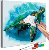 Doe-het-zelf op canvas schilderen - Schildpad 40x40 ,  Europese kwaliteit, cadeau idee