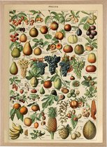 Poster In Houten Lijst - Vintage Fruit - Groenten en Planten Schoolplaat - Millot - Large 70x50