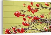 Schilderij - Rode bessen in de winter — 100x70 cm