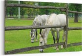 Schilderij - Paarden achter hek — 100x70 cm