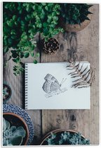Forex - Geschetste Vlinder - 40x60cm Foto op Forex