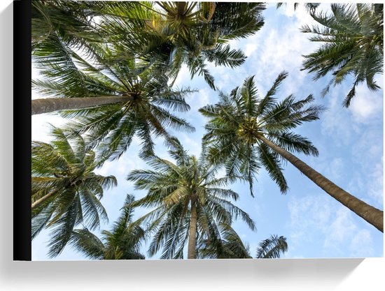 Canvas  - Palmbomen in de Wind - 40x30cm Foto op Canvas Schilderij (Wanddecoratie op Canvas)