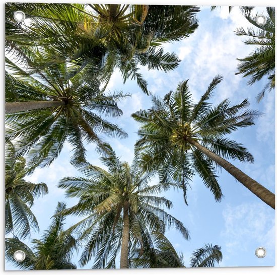 Tuinposter – Palmbomen in de Wind - 50x50cm Foto op Tuinposter  (wanddecoratie voor buiten en binnen)
