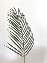 5x Kunst palmblad | Siertak | Groen | Palm | Kunstblad | Boommade | Decoratietakken | Duurzame keuze